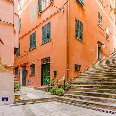 Apartament In With Wifi